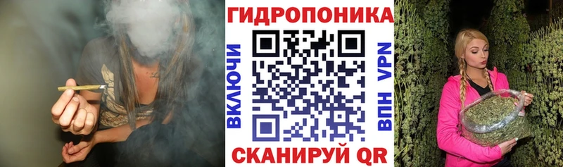 Виды наркоты Шелехов Alpha-PVP  МЕФ  Гашиш  blacksprut как войти  КОКАИН 