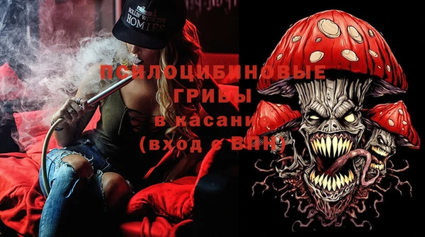 бошки Алексин