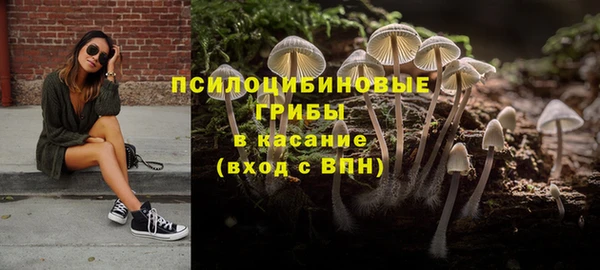 ALPHA-PVP Алексеевка