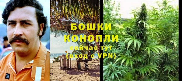 бошки Алексин