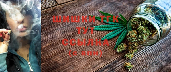 бошки Алексин
