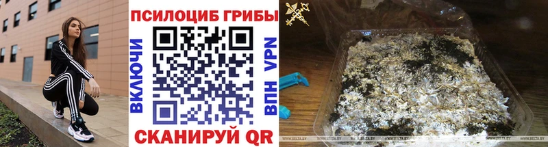 Галлюциногенные грибы MAGIC MUSHROOMS  дарк нет клад  Шелехов 